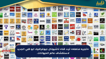«تجربة مذهلة» تردد قناة ناشيونال جيوغرافيك أبو ظبي الجديد لاستكشاف عالم الحيوانات.
